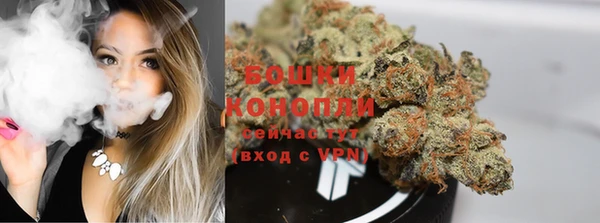 гашик Кулебаки