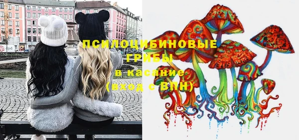 гашик Кулебаки