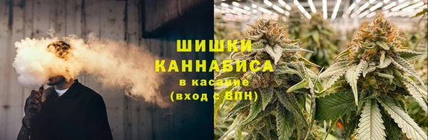 гашик Кулебаки