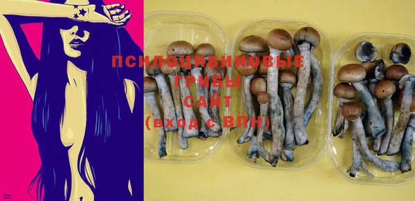 гашик Кулебаки